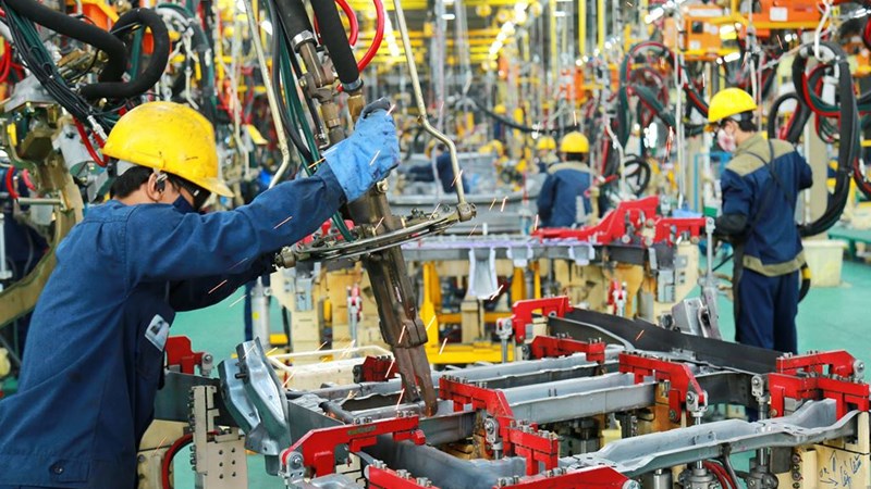 RẤT CẦN NHỮNG CON SỐ THẬT